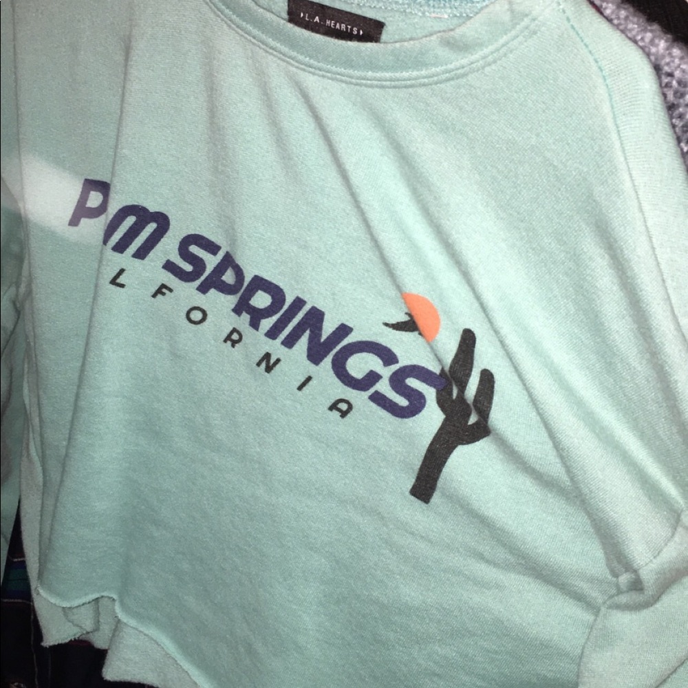 Pacsun cropped sweater